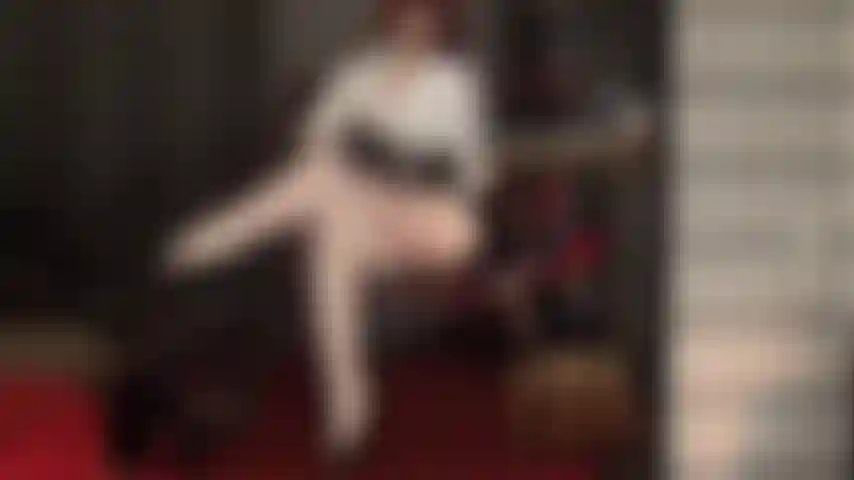 Deine nylongöttin melkt deinen schwanz mit übereinandergeschlagenen beinen in extra glänzenden weißen strumpfhosen.