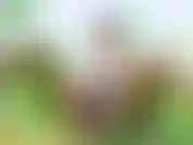 Spiele draußen mit spielzeug, um abzuspritzen. Fühle mich und kontrolliere mein spielzeug. Outdoor-video von mir beim abspritzen.