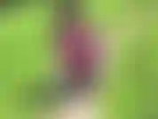 Titten in der öffentlichkeit! Lutschspielzeug! Leggins-fetisch.