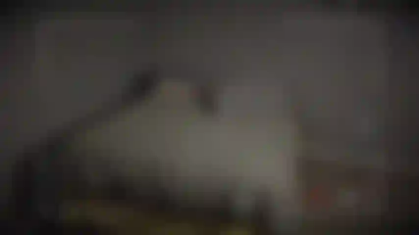 Jemand hat mich ausspioniert! Ich habe bemerkt, dass meine überwachungskamera einige aufnahmen von mir in meinem schlafzimmer gemacht hat, wie ich mich nach einem langen tag entspannt und masturbiere. Jetzt kannst du eine fliege an der wand in meinem schlafzimmer sein!