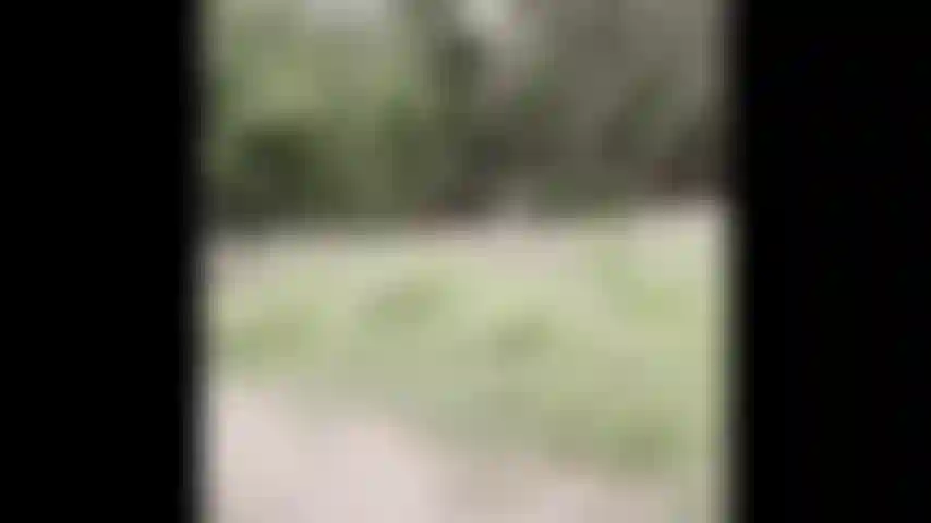 Nacktwanderung – schau mir zu, wie ich mich im wald ausziehe.