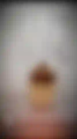 Door_knock_nicolette.