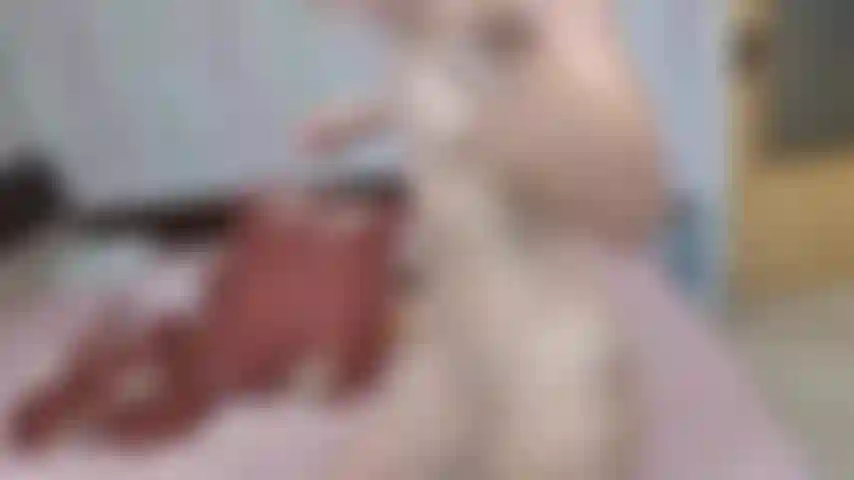 Masturbiere, während ich eine plastikschürze trage.