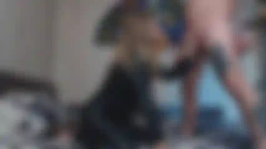 leather fetish, handjob, blowjob, ass job, cum on ass