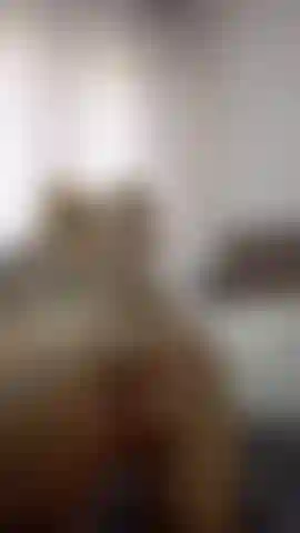 Die es anal mit meinem dildo macht.