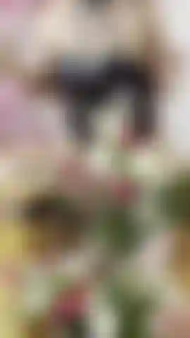 Willkommen frühling.