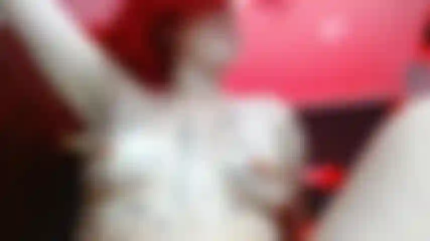 Nackt, mit raushängender zunge, die an meinen brustwarzenklammern zieht. Sieh mir zu, wie ich mit schmerz und lust spiele.