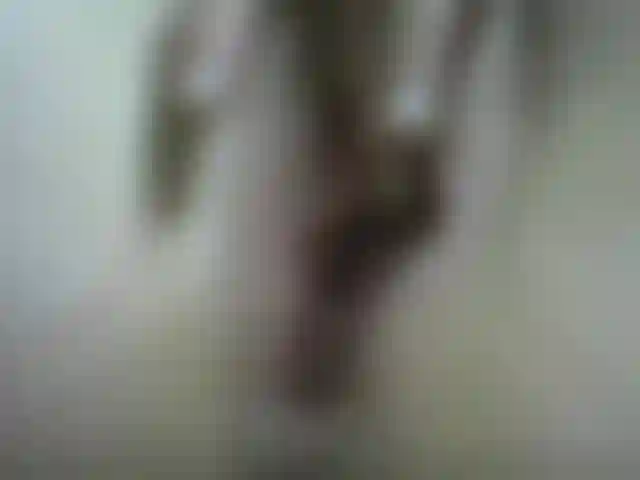 Schließe die muschi mit langen lippen ab und reibe sie, bis sie cremig und zum orgasmus wird.