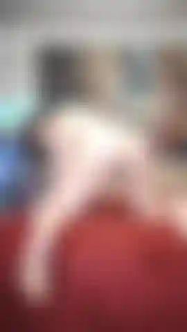 Lass mich darauf hüpfen und es dann auflecken.