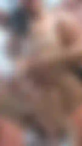 Arsch um dein gesicht!