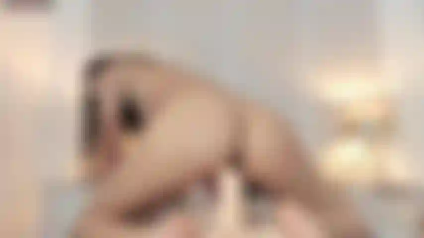 Sieh mir jetzt zu, wie ich auf einem harten schwanz reite, bis ich komme.