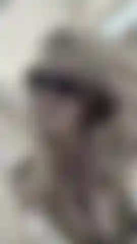 Я)