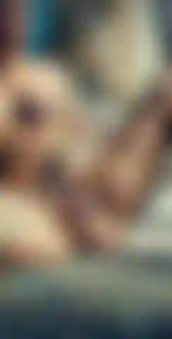 Regenbogen-muschi spielen.