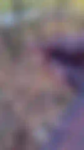 Cumming for the cars