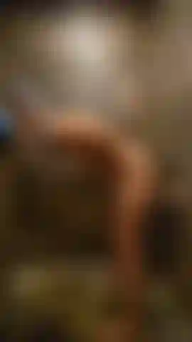 Riding white cock in shower