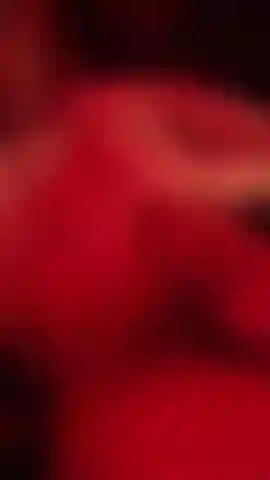 The Big cock OF Noah for you