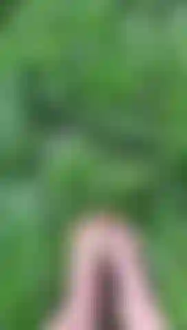 In der wildnis! Wenn meine füße das kalte gras berühren!