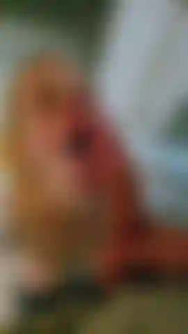 Küchen-throatpie – nachdem ich bigdicknick in nur wenigen stunden 3 mal abgemolken hatte, konnte er einfach nicht widerstehen, seinen schwanz wieder in meinen hals zu stecken, während wir in der küche abhingen. Ich habe seinen schwanz so gut gelutscht, dass er mir einfach einen throatpie geben musste und seine ladung tief in meinen hals schoss. Überraschenderweise hatte er noch ein oder zwei spritzer übrig, um mein gesicht zu bespritzen, als er seinen schwanz tief aus meinem hals herauszog.