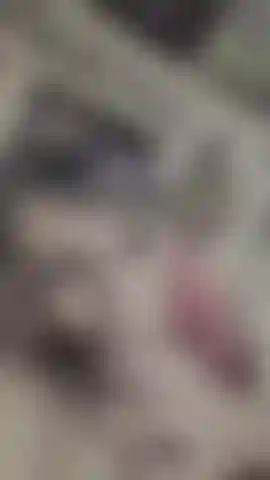 New Quickie Blowjob with Real Cock!!! He's harder than ever and ready for me to suck him sloppy, deep and get every inch along with his balls as I can't wait for a massive facial depleting him of every drop of his pent up cum.. ooo yea! boy.girl deepthroat quickies are always a favorite after some kinky fun in the pleasure palace making me cum countless fucking times omfg!!!!