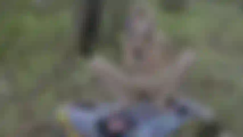 Goth babe, laute orgasmen im wald mit analspielen.