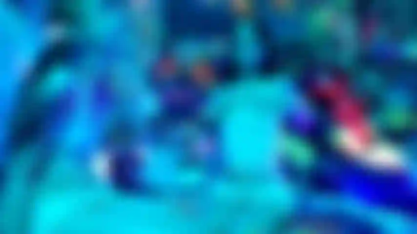 Under The Blacklights G/G Hot Hookup With Nataliarayexo
Me and Nataliarayexo decide to show our kinky sides off to one another a bit more! Flashing each other then feeling up the other's tiny tits in horny admiration. Both of them are also blown away they wore the same outfit for more horny fun in the room (and how perfect considering the outfits glow under the blacklights)! They go ass to ass grinding side by side! And what a surprise that both wore no panties underneath! Since both girls realize their pussies keep popping out towards each other only making them hornier they decide to take turns burying their faces in the others perfect tight wet pussy! They tongue fuck + make the other cum sooo hard over and over again!!! The hottest hookup under the blacklights as each petite babe burns for more horny pussy licking passion from the other! ;) Now snowy is super hoping Nataliarayexo will be back for more very very sooon!!!! Sharing matching outfits + orgasms from intensely hot pussy licking is always the best!