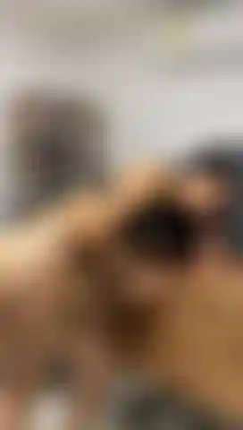 Blowjob auf dem desktop meines chefs, wenn er nicht da ist.