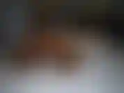 Ich lag in meiner strumpfhose im bett, während ich mit meinem freund auf skype war. Ich habe mit meiner stimmung für ihn angegeben, aber ich wusste nicht, dass du mich ausspionierst, als wir aussteigen... Du perverser!!