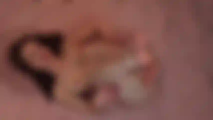 Eine haarige göttin.