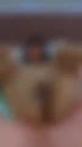 quiero que veas mi pussy