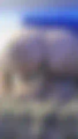 Unbearbeiteter rückschuss von mir, wie ich meinen neuen torso-schwanz reite.