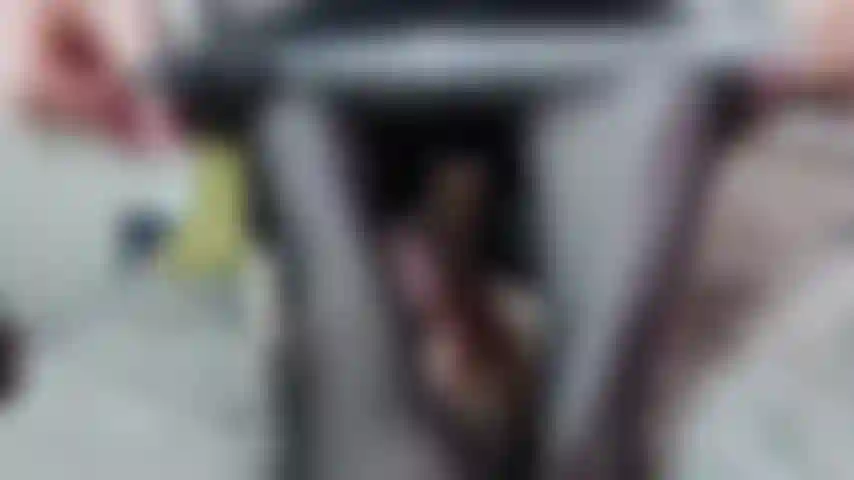 Schwarzes seidenkorsett, schwarze strümpfe, die den kitzler bis zum orgasmus fingern.