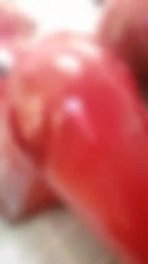 Halt dich fest, kurze rote pvc-version, die muschi fingert.