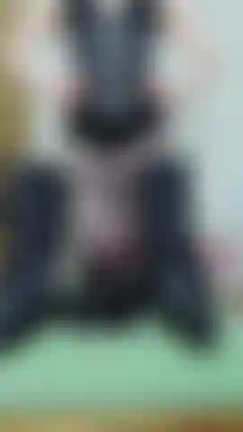 Schwarze korsettherrin, arschanbetung, stiefelanbetung, lederhandschuhklatschen, strap-on-demo. Beenden sie mit dem joi-countdown. Netzstrumpfhose ouvert, dessous, stiefeletten mit stiletto-absatz.