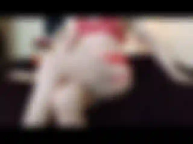 Pleasurestate mit blackglass-dildo.