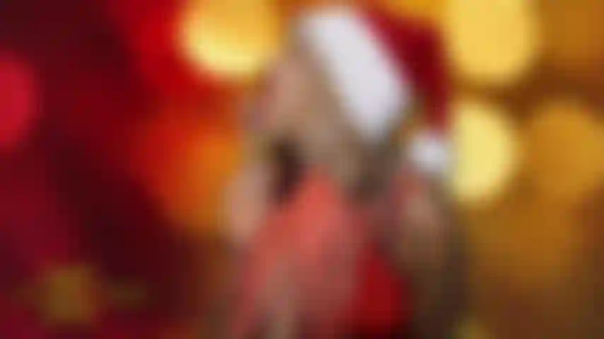 Ein riesiger schwarzer schwanz zum umschnallen zu weihnachten!!! , Ein großer schwarzer schwanz.