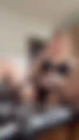 Sucking then fucking this pussy with my dildo