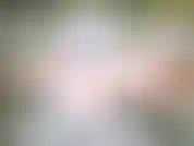 Genieße die natur, die landschaft, den zauber des flusses.