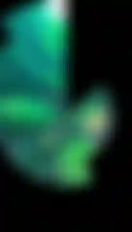 🍀 Lucky Green Vibes