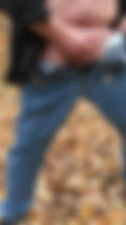 Mvf_111021_4397_sam kommt im wald.