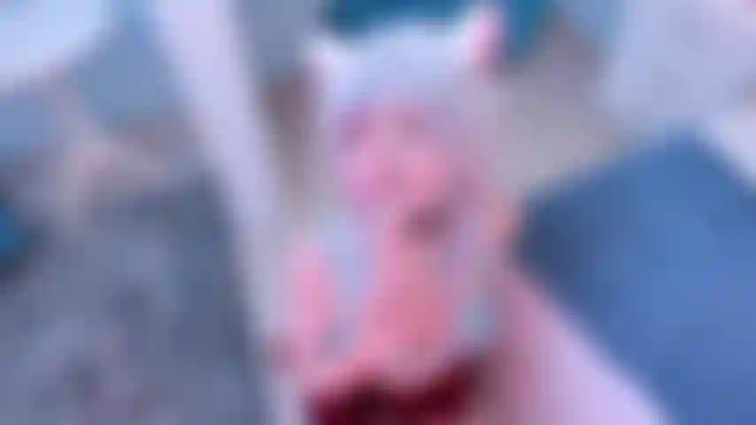 Ich erfülle gerne deine fantasien!!