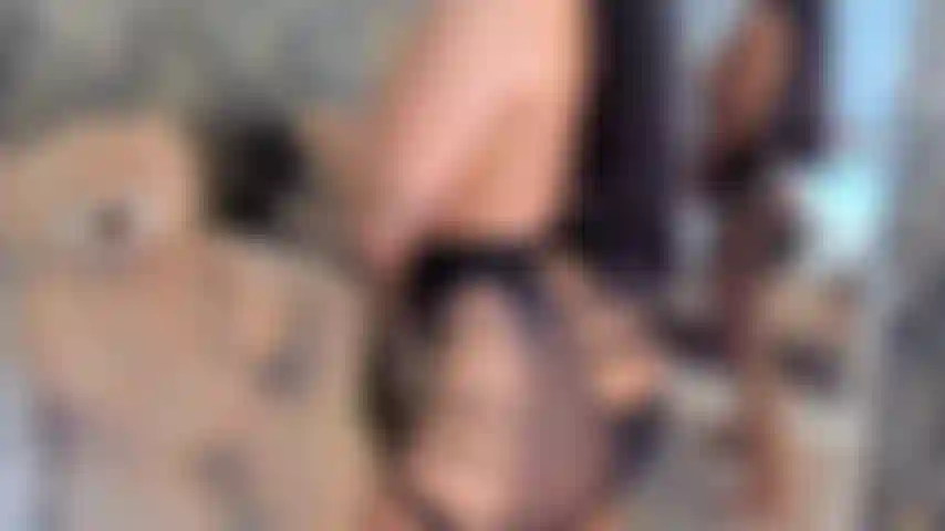 Dieser körper wurde gemacht, um sie verrückt zu machen. Möchten sie jede kurve erkunden?