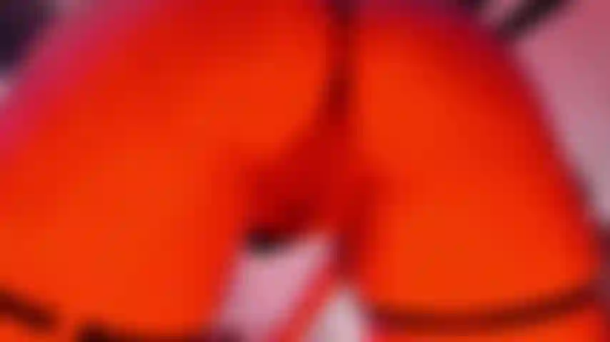 a real lady knows what to do to give you pleasure