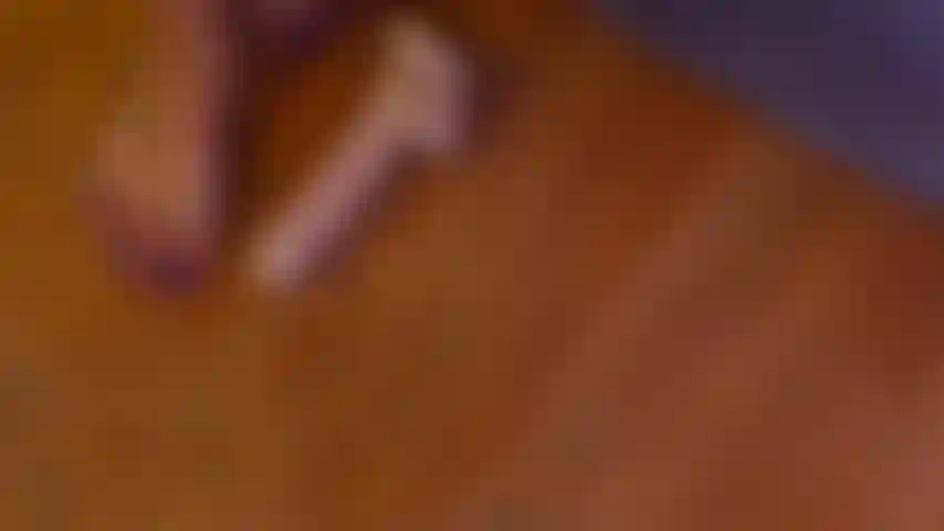 Die auf deinen schwanz tritt.