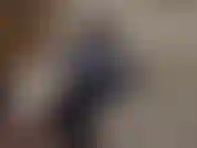 Chav in strumpfhosen, die sich über deinen fetisch lustig macht. Du stehst auf gewöhnliche schlampen wie mich, so ein peinlicher fetisch, aber du kannst nicht anders. Du liebst es, billige, trashige huren zu ficken, die strumpfhosen tragen.