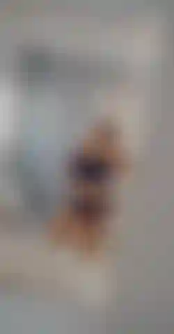 Wenn sie dick ist und einen großen hintern hat.