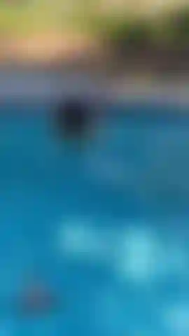 Ððð 15 minuten ficken und blasen mit meinem torso-freund isaac in meinem pool.