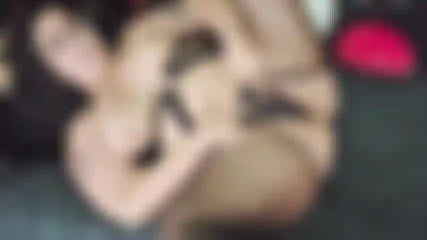 Fucking myself in the bed, squirting all over myself!