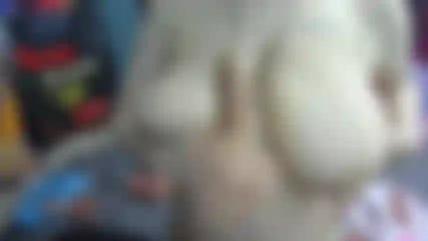 Tittenfick + vorschau auf eine dirty-talkshow.