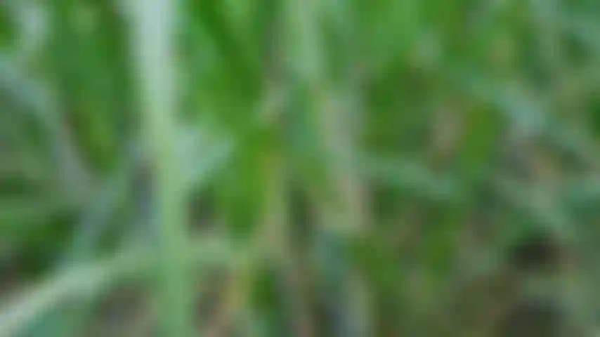 Verbinde dich mit der natur – ein einzigartiges erlebnis.