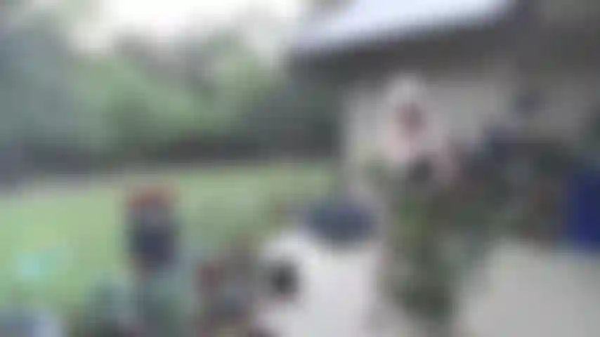 Die in einem schwarzen zweiteiler-bikini auf der terrasse mit meinen pflanzen spielt und auf der verandaschaukel ihre titten, ihren bauch, ihren hintern und ihre gespreizte muschi zeigt.